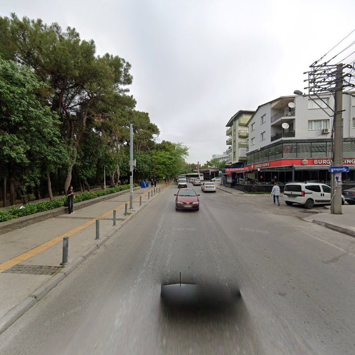 Fotoğraf 13