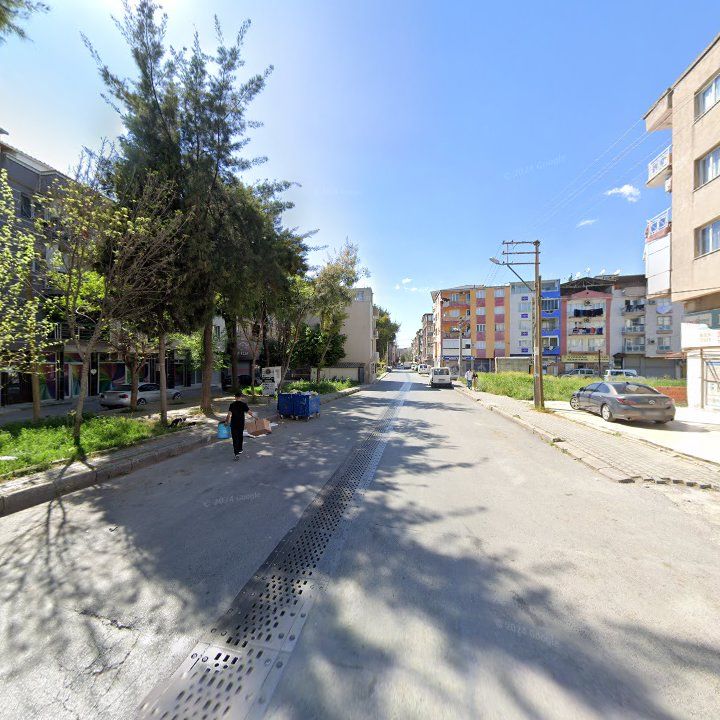 Fotoğraf 8
