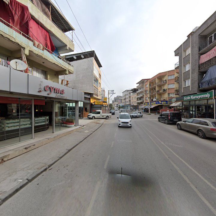 Fotoğraf 11