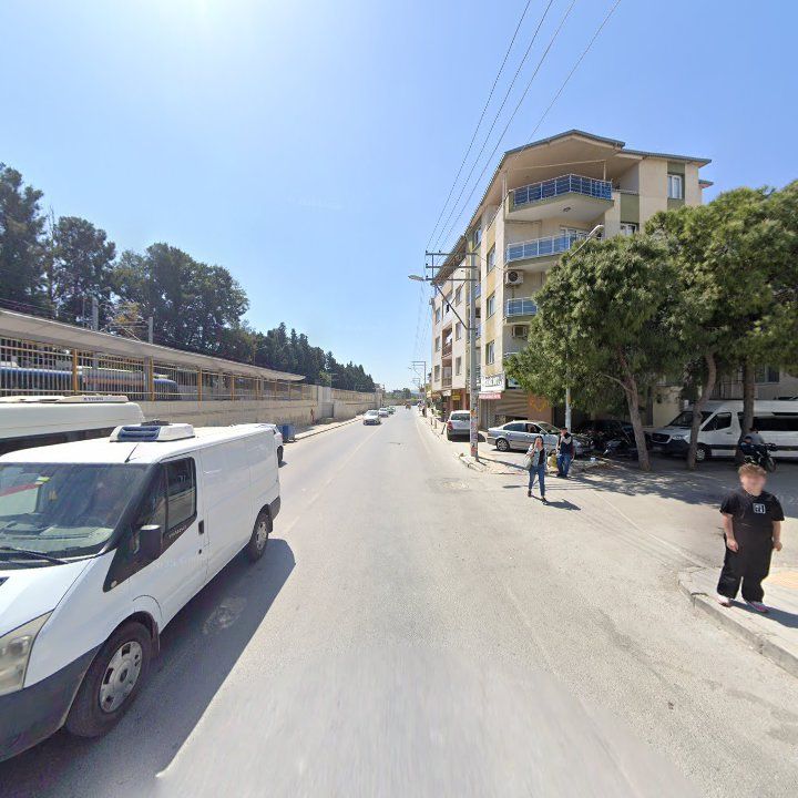 Fotoğraf 3