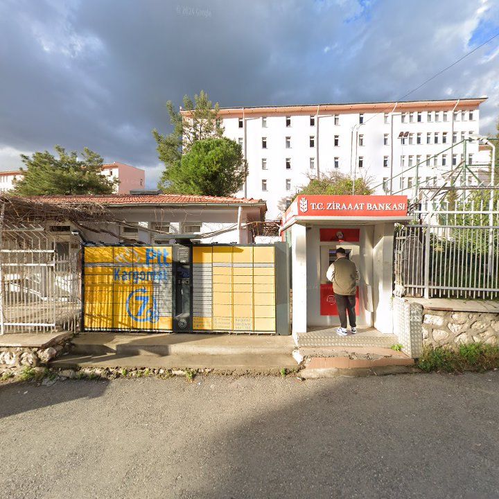 Fotoğraf 8