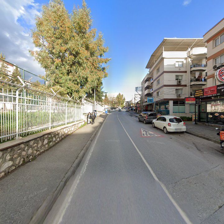 Fotoğraf 6