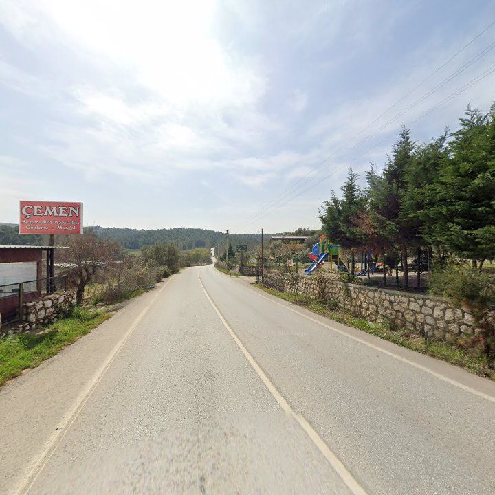 Fotoğraf 9