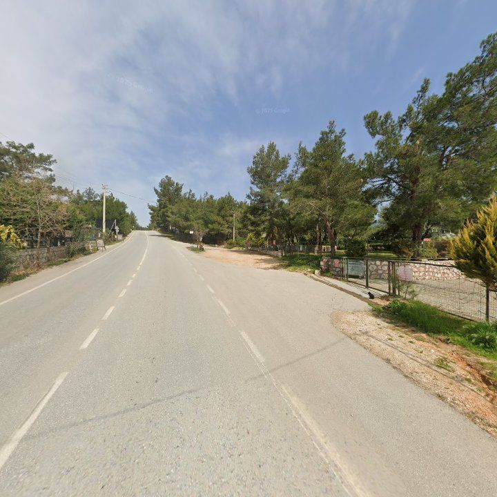 Fotoğraf 11