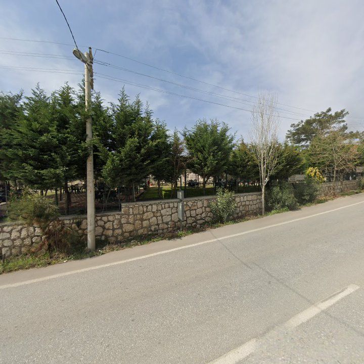 Fotoğraf 10