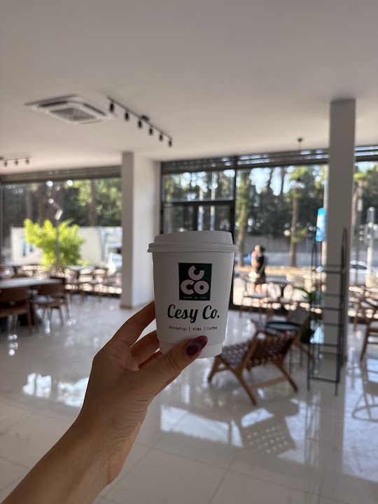 Cesy Co