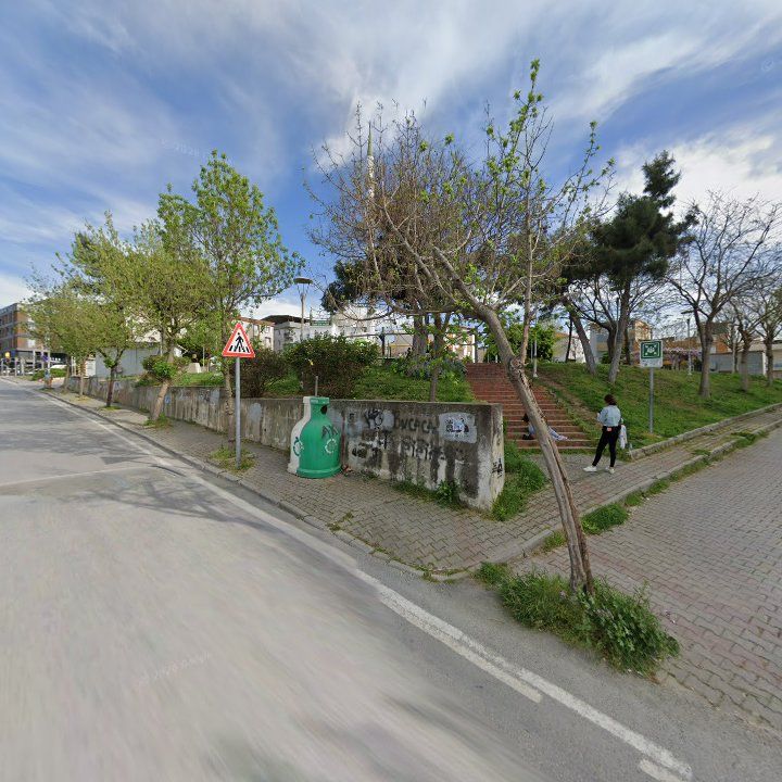 Fotoğraf 7