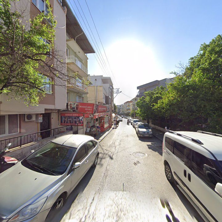 Fotoğraf 10