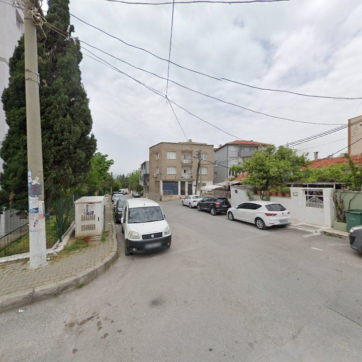 Fotoğraf 8