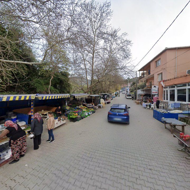 Fotoğraf 8
