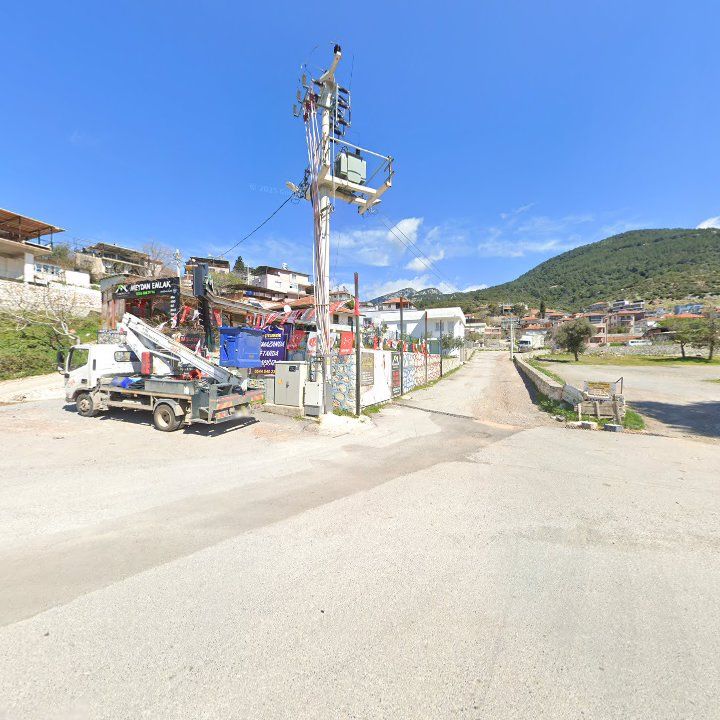 Fotoğraf 10