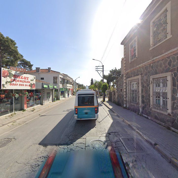 Fotoğraf 11