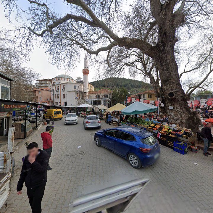 Fotoğraf 5