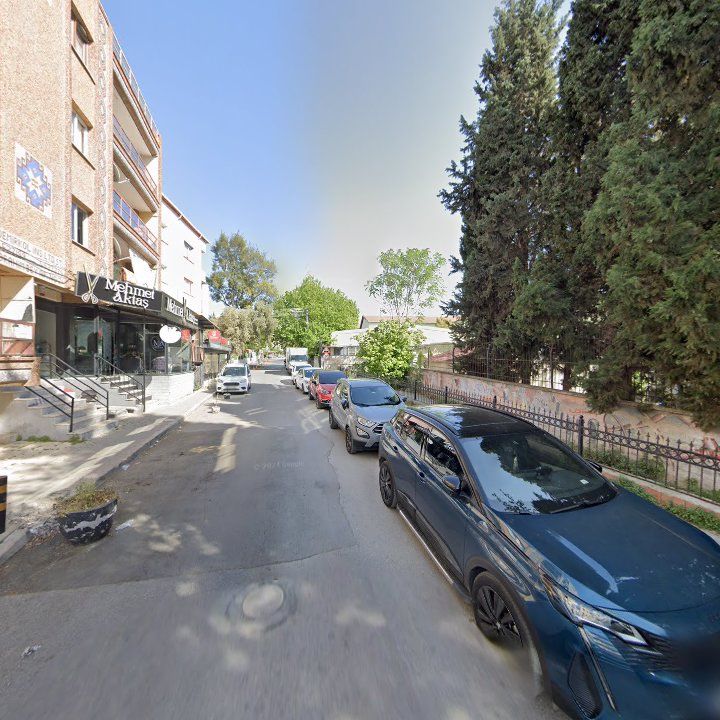 Fotoğraf 9