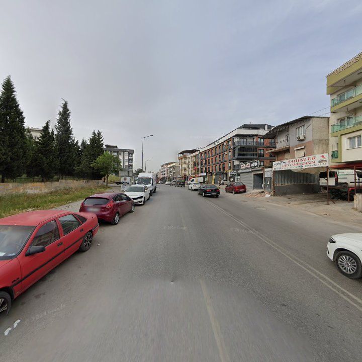 Fotoğraf 6