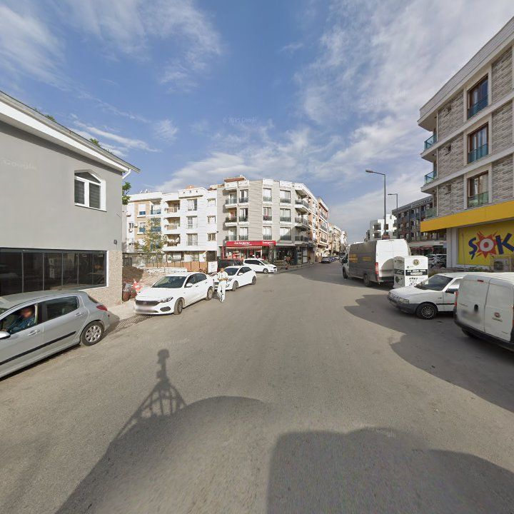 Fotoğraf 7