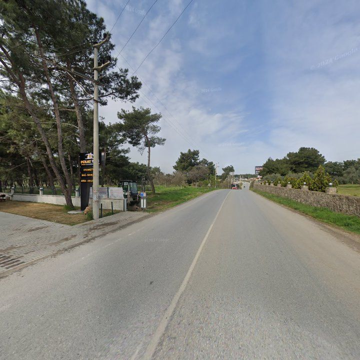 Fotoğraf 9