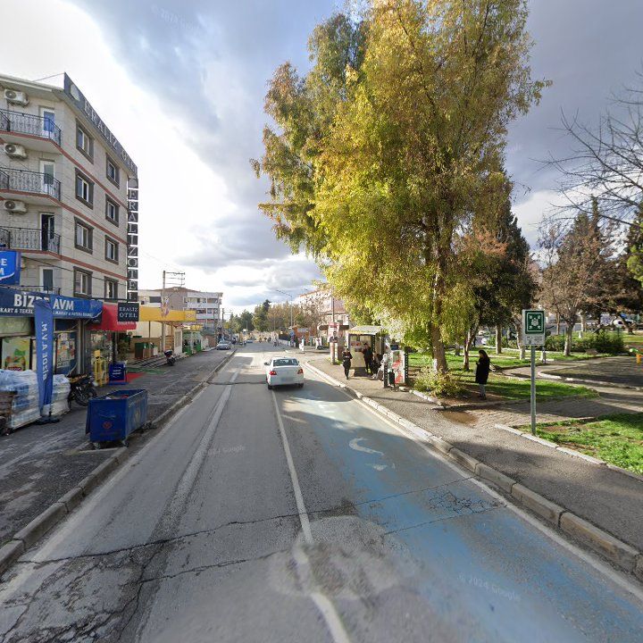 Fotoğraf 6