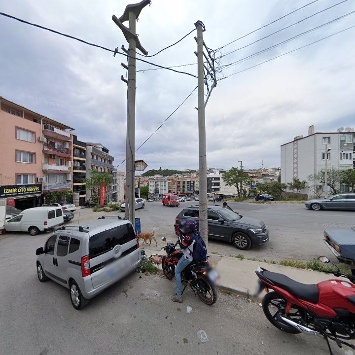 Fotoğraf 9