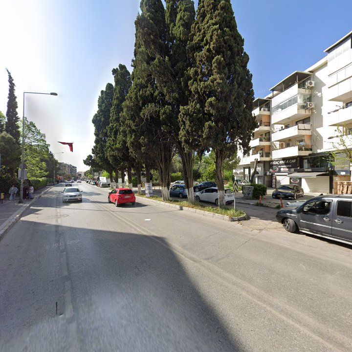 Fotoğraf 12