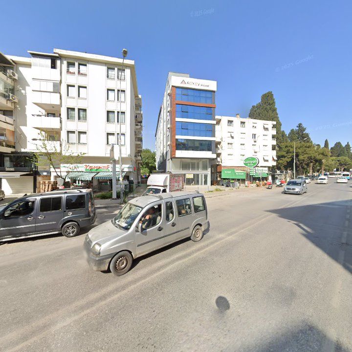 Fotoğraf 13