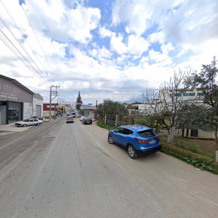 Fotoğraf 8