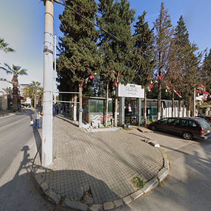 Fotoğraf 9
