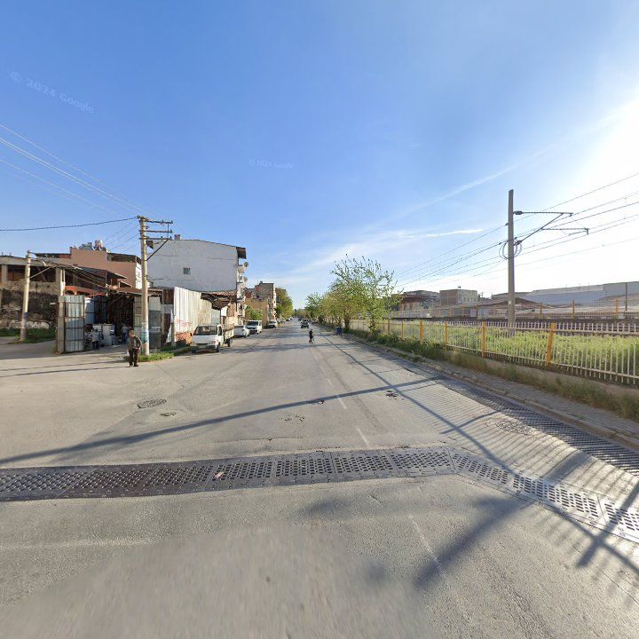Fotoğraf 9