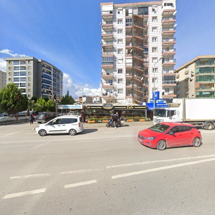 Fotoğraf 12