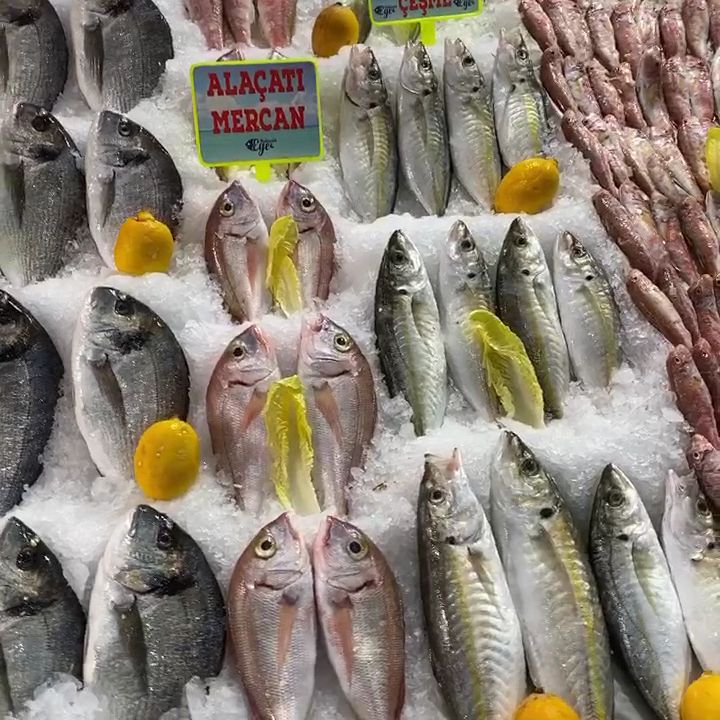 Fotoğraf 13