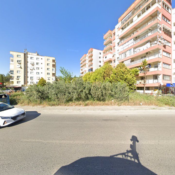 Fotoğraf 12