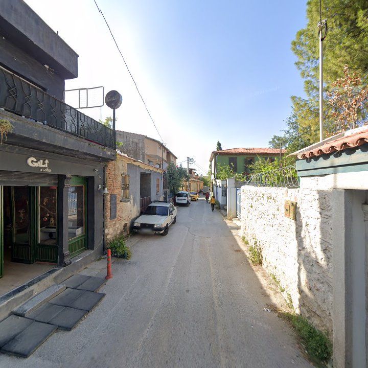 Fotoğraf 10