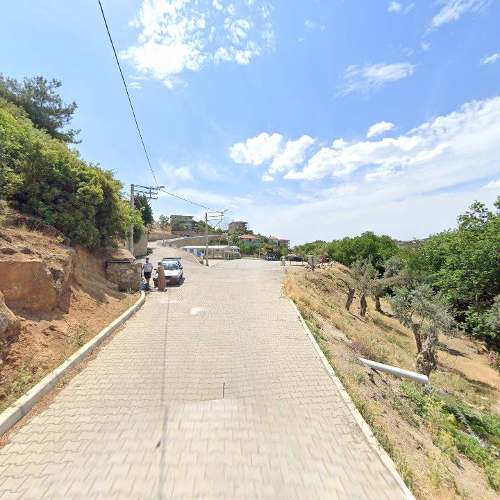 Fotoğraf 7