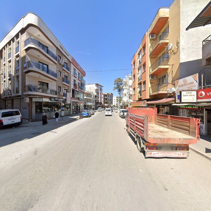 Fotoğraf 12