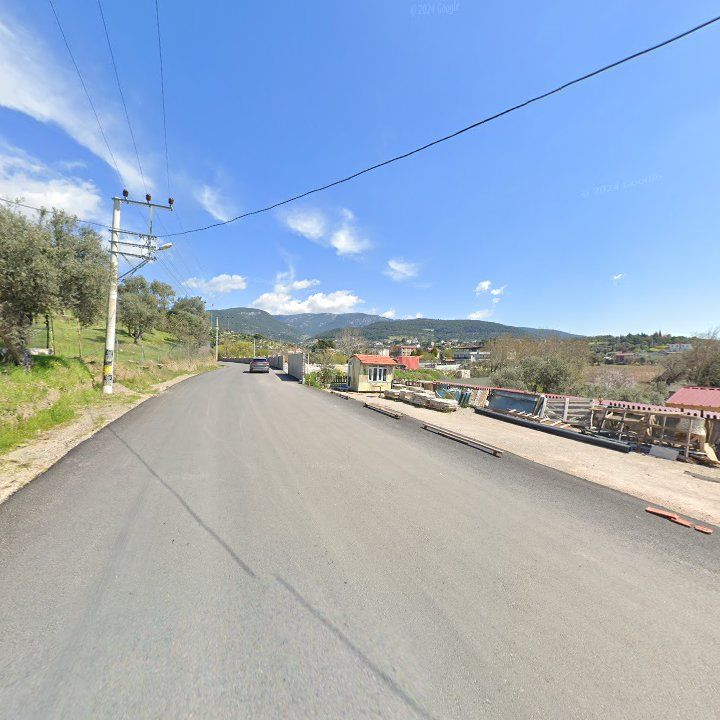 Fotoğraf 11