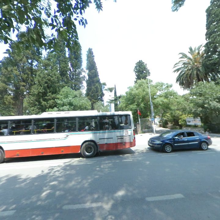 Fotoğraf 7