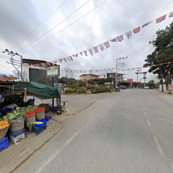 Fotoğraf 6