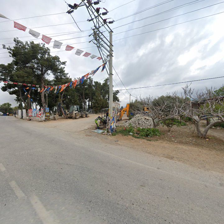 Fotoğraf 7