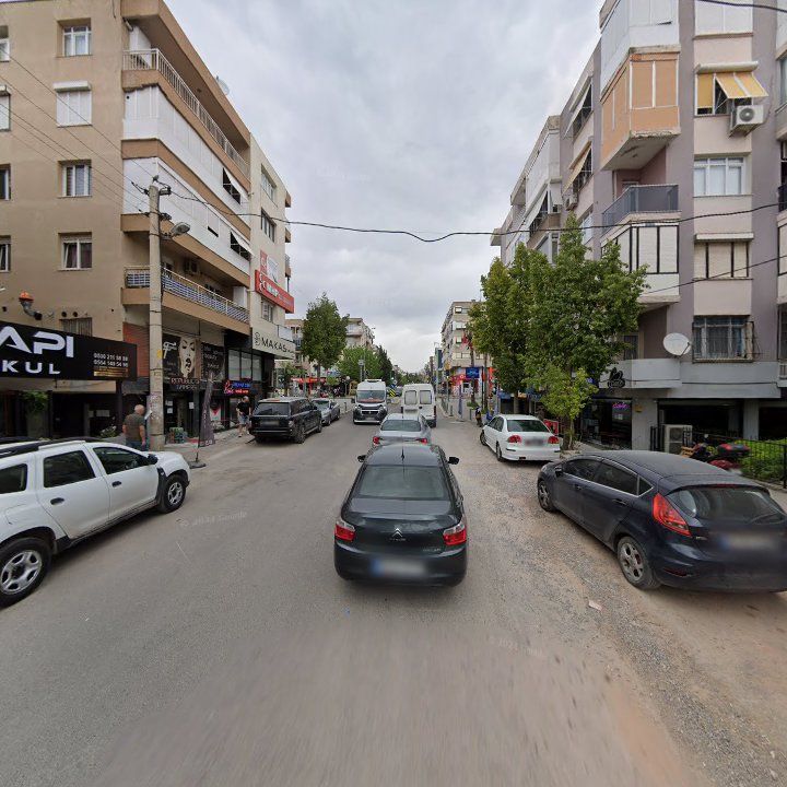 Fotoğraf 3