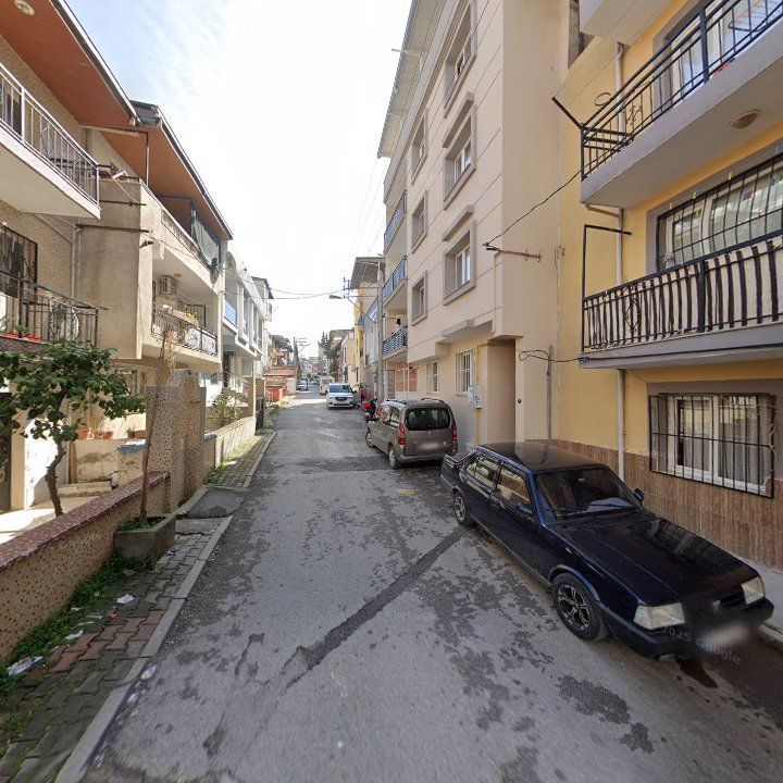 Fotoğraf 12