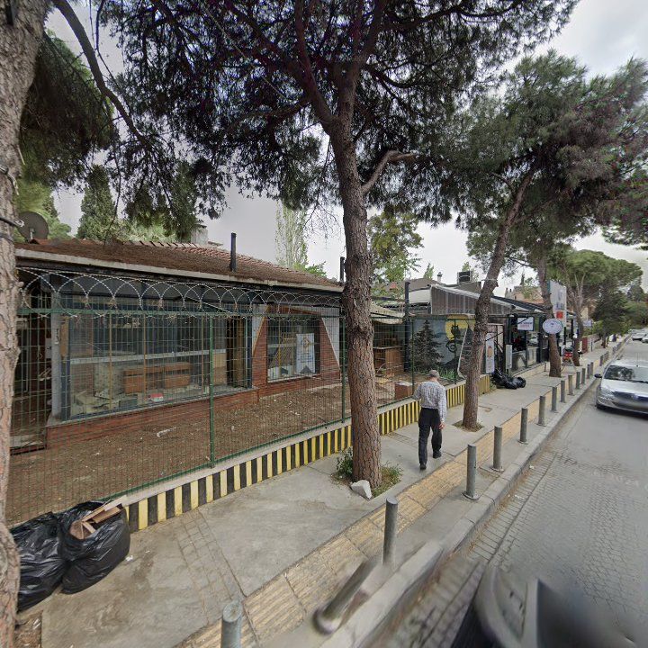 Fotoğraf 9