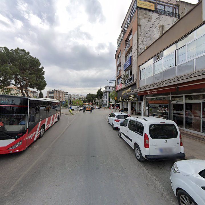 Fotoğraf 11