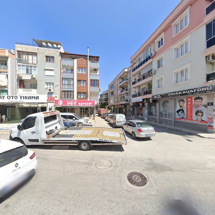 Fotoğraf 6
