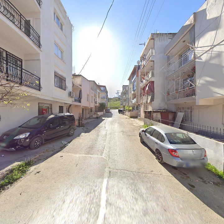 Fotoğraf 8