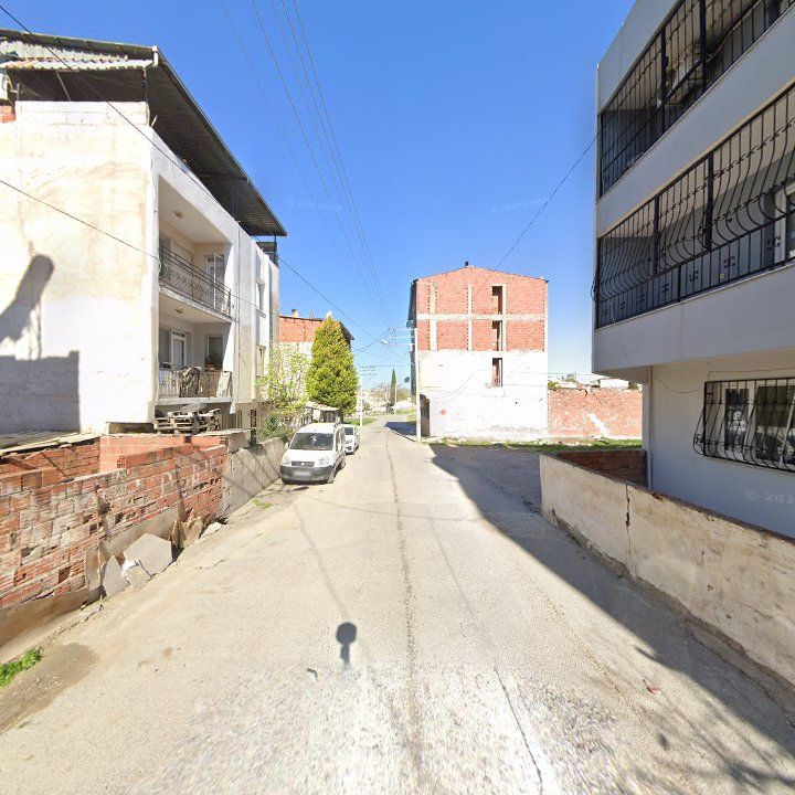 Fotoğraf 10