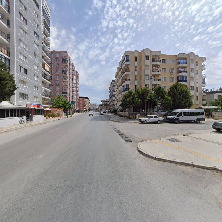 Fotoğraf 9