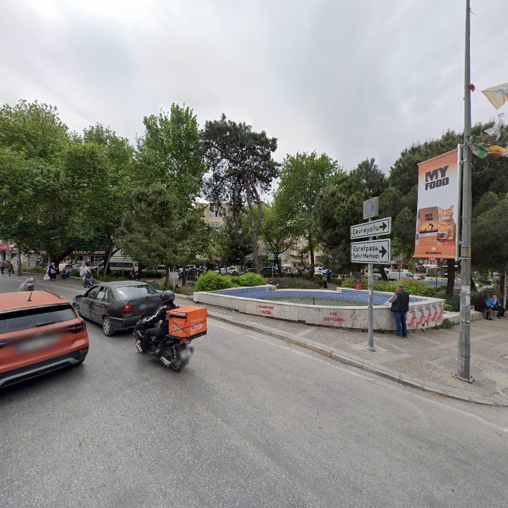 Fotoğraf 10