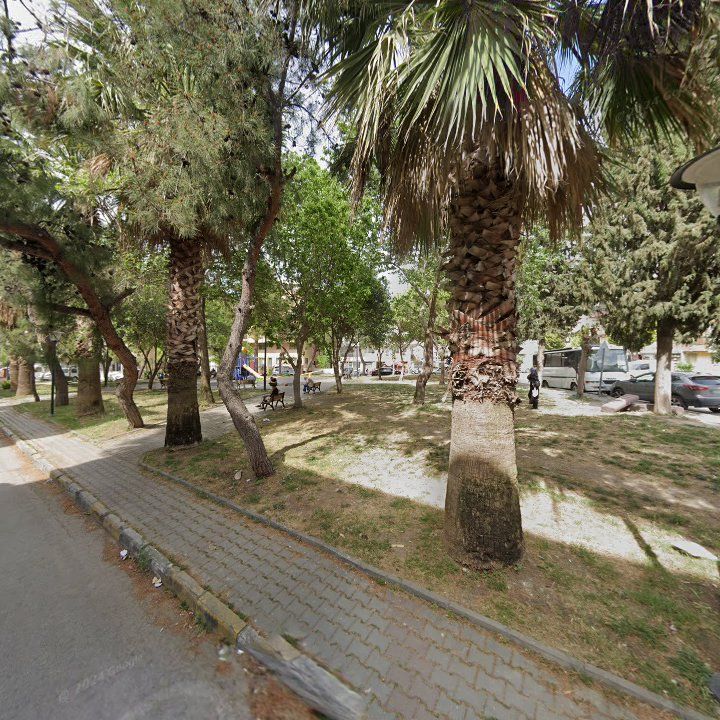 Fotoğraf 9