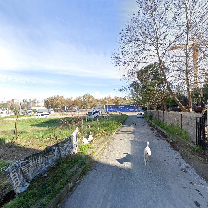Fotoğraf 8