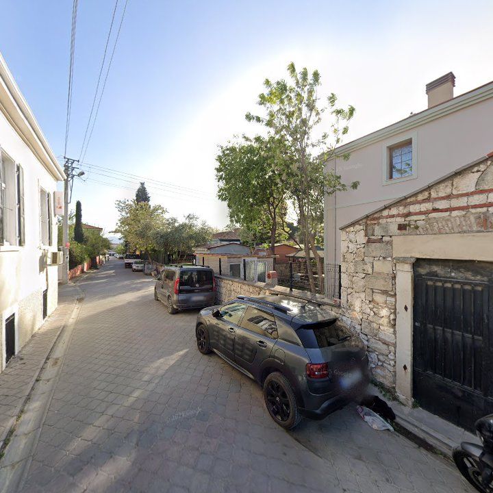 Fotoğraf 10